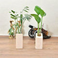 Plant Terrarium With Wooden Stand Rack Glass Test Tube Vase Holder Test Tube Vintage Wood Frame Hydroponic Plants Glass Pot Glass Vase. 