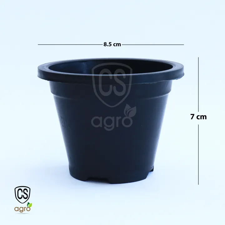 Cactus%20Plastic%20Flower%20Pot%207cm%20-%20Image%203