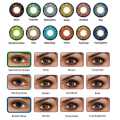 Honey - Fresh Look Color blends Contact Lens - Full Set - Color Contact Lens. 