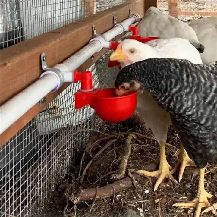 For%20Chicken/Duck/Quail/Turkey%20Automatic%20Chicken%20Waterer%20Kit%20DIY%20PVC%20Water%20Feeder%20-%20Image%204