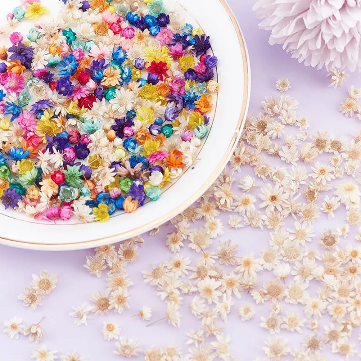 200pcs Dried Flowers For DIY Epoxy Resin Candle Making Jewellery Glass Filler　ZHIXING
