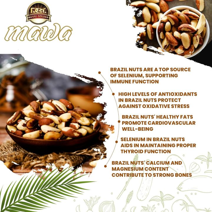 Mawa%20Raw%20Brazil%20Nuts%20500g%20%7C%20Premium%20Brazilian%20Nuts%20%7C%20Raw%20Whole%20Nuts%20%7C%20No%20Broken%20%7C%20100%25%20Natural%20%7C%20Fresh%20and%20Crunchy%20%7C%20Plant%20protein%20%7C%20Resealable%20pouch-500g%20(FROM%20DUBAI)%20-%20Image%203