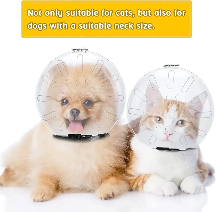 Cat%20Muzzle%20Cat%20Helmet%20Cat%20Mouth%20Cover%20Helmet%20Muzzle%20Pet%20Grooming%20Muzzle%20Cat%20Adjustable%20Hood%20Transparent%20Breathable%20Cat%20Face%20Mask%20-%20Image%206