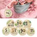 7x Baby Milestone Cards Round Wooden Monthly Cards for Home Table Decoration. 