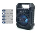 Wireless Portable Speaker with Bluetooth, Mic Input, FM Radio, TF Memory Card Reader and USB Pen Drive. 