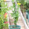 Plant Support Poles Adjustable Plant Support Pole Stake for Stable Indoor Potted Plants Prevent Falling Windproof Southeast Asian Buyers' Choice Plant Climing Holders. 