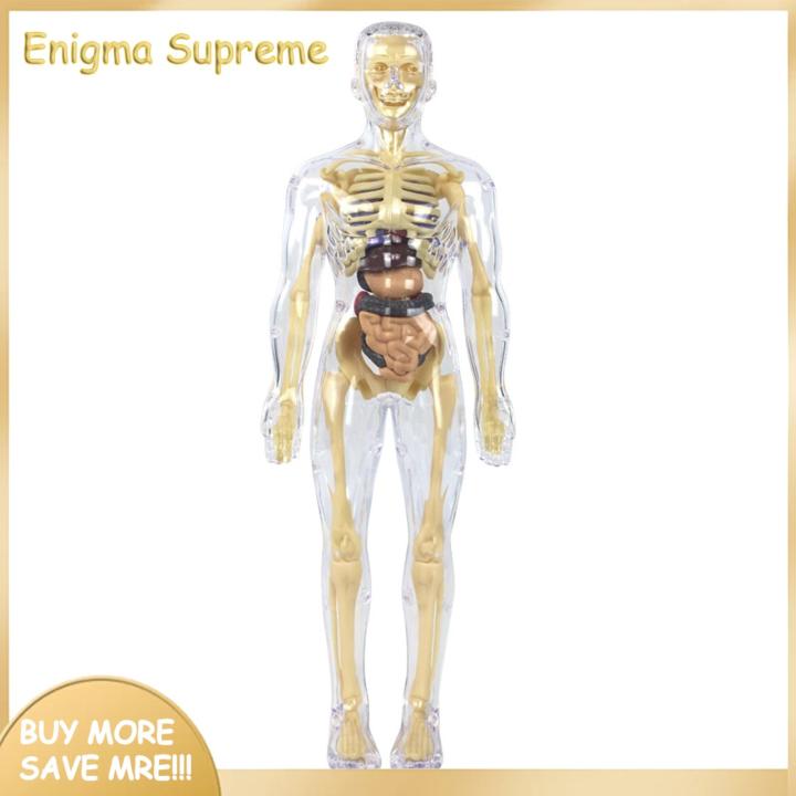 Enigma- Human Body Structure Toys Interactive Human Body Model Set for Kids Educational Science Lab Toy for Learning about Human Anatomy Biology Detachable Parts for Hands-on Exploration Perfect for Curious
