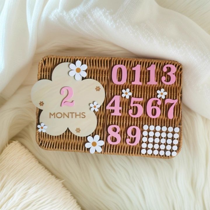 New 3D Baby Monthly Milestone Sign Cards Wooden 1-12 Months Babies ...