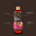 Khadi Natural Onion & Fenugreek Shampoo | Sulphate-Free | Provides Strong & Healthy Hair | Promotes Smooth & Shiny Hair | POWERED BOTANICS| 310 ml(FROM INDIA). 