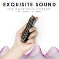 Portable Harmonica 10 Holes Mouth Organ for Kids Musicians Music Lovers. 