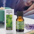 10ml Fragrance Oil Long Lasting Water Soluble Plant Extract Flower Natural Aromas Essential Oil for Diffuser. 