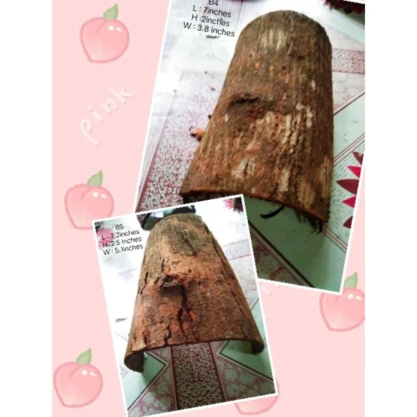 %E2%97%8FTarantula%20hide,%20Reptile%20etc..Balat%20ng%20Mahogany%20,dry%20Mahogany%20Bark%20-%20Image%207