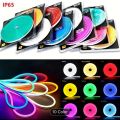LED Strip Lights Flexible Neon Flex Rope 5M Lights Waterproof Outdoor Lighting 12V 5M 15 Feet inches. 