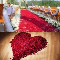 100Pcs Rose Petals Wedding Party Romantically petals Decorations. 