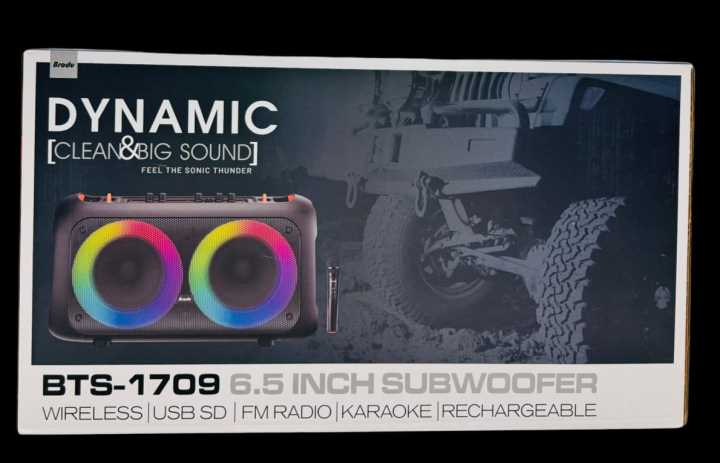 Brodu%20BTS-1709%20Bass%20Portable%20Subwoofer%20Bluetooth%20Karaoke%20Speaker%20with%20Wireless%20MIC%20Big%20Sound/Dynamic%206.5%20Inch%20Speaker%20Dual%20Subwoofer%20-%20Image%205