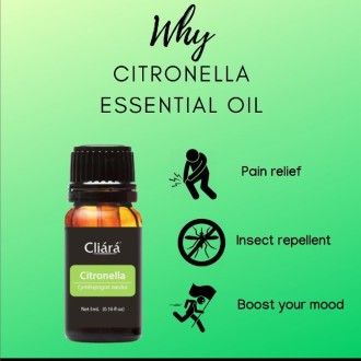 Cliara%20Citronella%20Essential%20Oil%2010Ml%20-%20Image%202