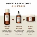 [SKIN1004 OFFICIAL] Madagascar Centella Probio-Cica Essence Toner 210ml | soothing | reduces | redness | Centella Asiatica extract and probiotics. 