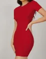 Short Sleeve Bodycon Short Dress. 