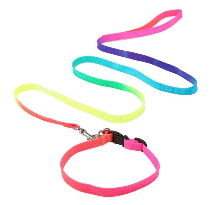 Pet Dog Leash Lead with Rainbow Colors Colorful for Small and Mediume Dogs
