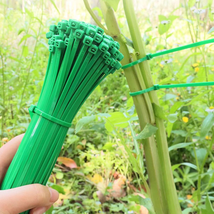 Nylon%20Cable%20Adjustable%20Self-Locking%20Cord%20Wire%20Binding%20Wrap%20Straps%20Garden%20Fence%20Fixing%20Fastening%20Loop%20Support%20-%20Image%202