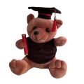 Graduation Teddy 26cm \ Graduation Gift \ University Convocation Gift \ Graduation Bear \ Diploma gift. 