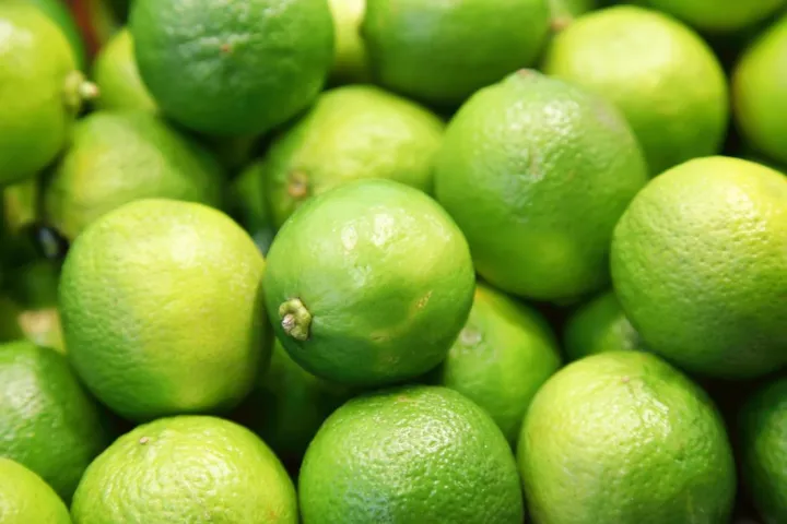 100%25%20Fresh,%20Natural%20Limes%20(Dehi%20Gedi)%20-%201%20Kg%20-%20Image%202