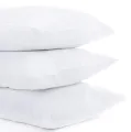 Luxury Pillow 04 in 01 Pack. 