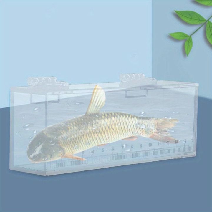Aquarium Transparent Fish Viewing Box Mini Micro Landscape Acrylic Fish ...