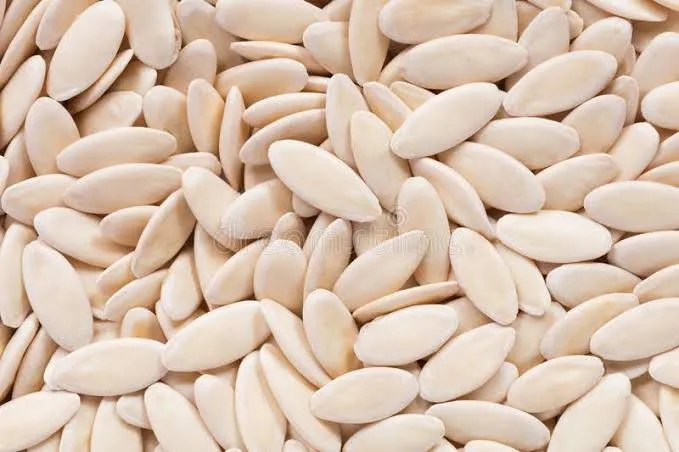 F1%20Hybrid%20Cucumber%20Seeds%2010%20%E0%B6%AF%E0%B7%99%E0%B6%B8%E0%B7%94%E0%B7%84%E0%B7%94%E0%B6%B1%E0%B7%8A%20%E0%B6%B4%E0%B7%92%E0%B6%B4%E0%B7%92%E0%B6%A4%E0%B7%8A%E0%B6%A4%20%E0%B6%B6%E0%B7%93%E0%B6%A2%20-%20Image%207