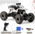 Rock Crawler Alloy Material RC Monster Truck/ Offroad RC Truck 1:16 Scale 2.4 Ghz. 