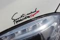 【Exclusive Offer】Sports 3D car sticker Car Styling PVC Chromed badge sticker for bonnet lamp eyebrow rearview mirror sticker. 