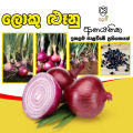 Imported Onion Seeds ලොකු ලූනු බීජ Home Gardening Agriculture 1g. 