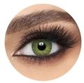 Colour GEMSTONE GREEN- Fresh Look ggcl Color Blends Contact Lens - Full Set - Color Contact Lens (Replacement Cycle: 12 Month). 