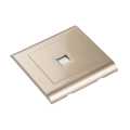 Modular Gold Cat 5 Data Socket Outlet. 