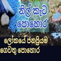 නිල් කැට,Blue Corn Fertilizer 100g. 
