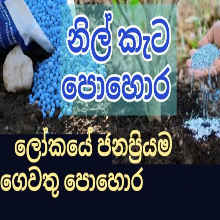 නිල් කැට,Blue Corn Fertilizer 100g