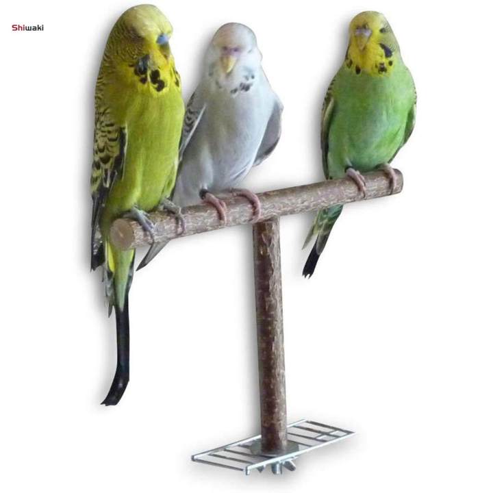 Cockatiel bird cage accessories best sale