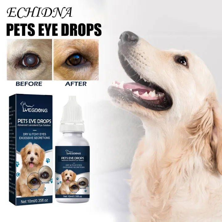 ECHIDNA Pet Eye Drops High Efficiency Dog Allergy Symptoms Eye Wash Drops
