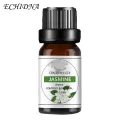 10ml Essential Oil Permeable Calm Emotion Non-Irritating Water Soluble Rose Diffuser Oil for Indoor. 