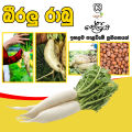 Radish Seeds Long Diga Rabu Beeralu Gardening Agriculture Home 1g Quality Seeds. 