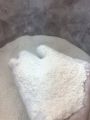 Cal-Plus : Organic Calcium Fertilizer (100% eggshells). 