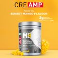 Muscleblaze Creatine Monohydrate CreAMP. 