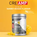 Muscleblaze Creatine Monohydrate CreAMP. 