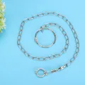 safe stainlesssteel foot chain training for parrot rust-proof large parrots alexander dove grey golden sun keck. 