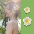 Plumeria Flower Hair Clips For Women Hairpins Girls Side Bangs Clips Flower Barrette Hawaiian Wedding Party Bag Hat Accessories. 