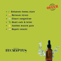 Indian Premium Eucalyptus Essential Oil (Available In 30ml to 1l Bottles). 