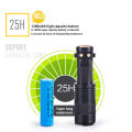 【ThinkWay】Portable UV Flashlight Ultraviolet Torch Zoomable Banknote Detector LED {5% diskwento sa dalawang piraso}. 