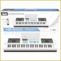 Premium Grade 61 Key Electronic Organ Keyboard HS-6100A. 