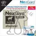 NexGard Chewable Tablets for Dogs (Above 3 Months) ( 28mg X 1 CHEWABLE ). 