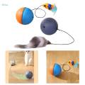 Cat Balls Toys for Indoor Cats Teaser Toys Interactive Play for Kitty Chasing. 